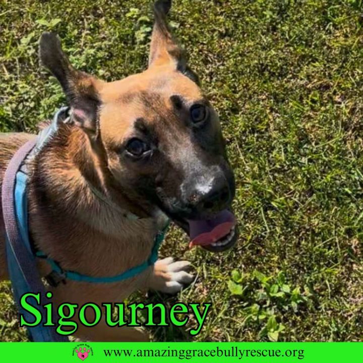 Sigourney 1