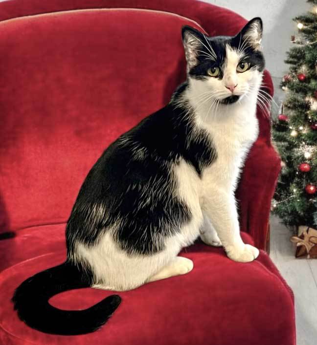 NALA