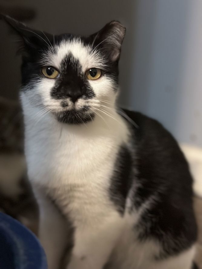 Matilda
