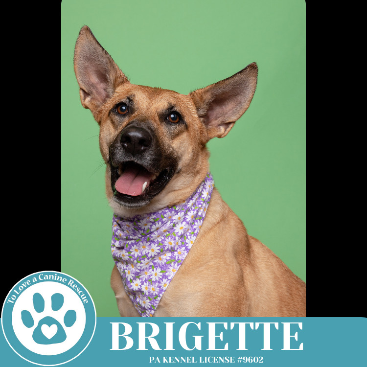 Brigette 111624