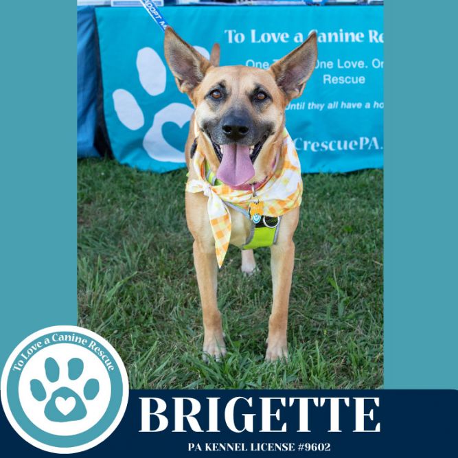 Brigette 111624