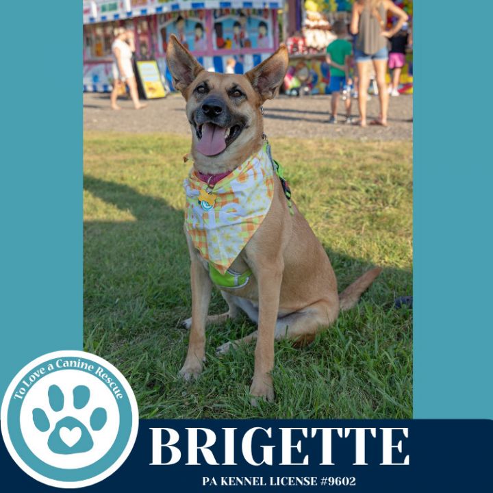 Brigette 111624 2
