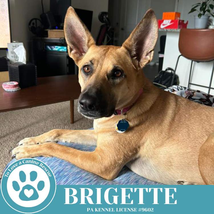 Brigette 111624