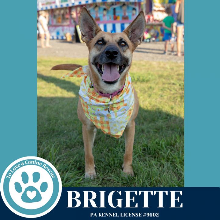 Brigette 111624 3