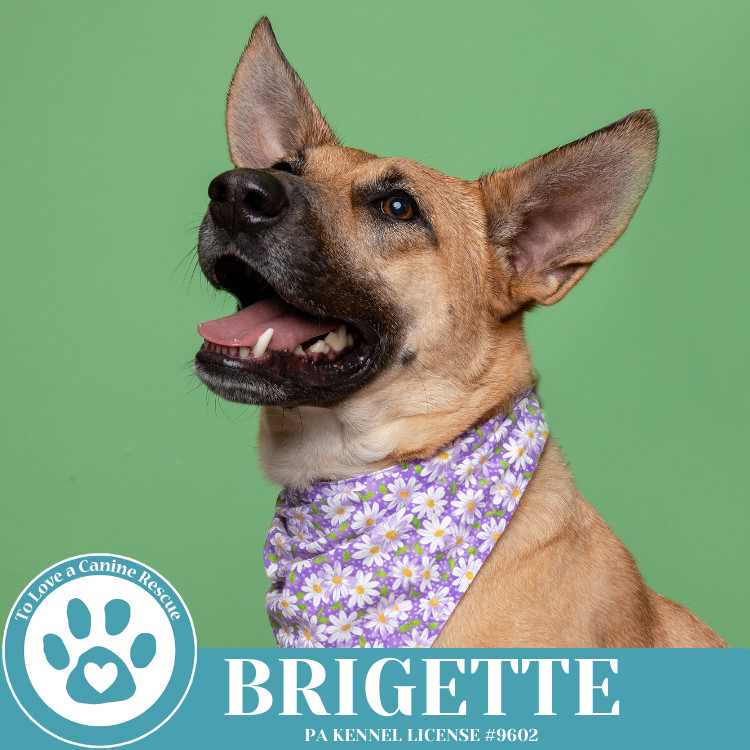 Brigette 111624