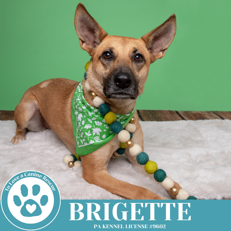 Brigette 111624