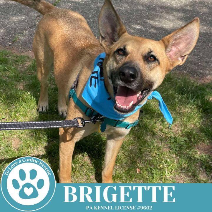 Brigette 111624 5