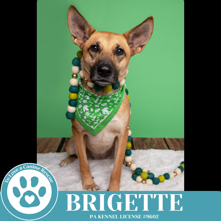 Brigette 111624