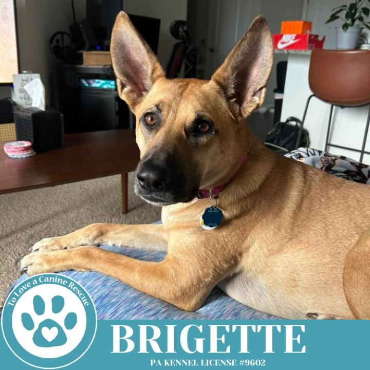 Brigette 111624 6