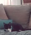 Mama photo 3