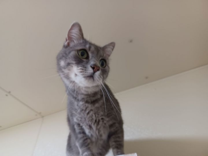 Otto 3