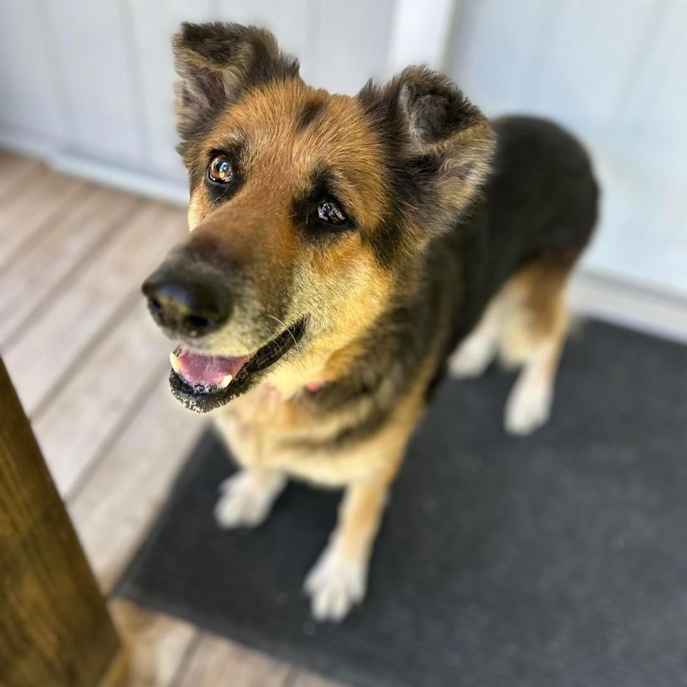 Kiara