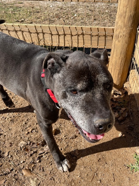 Bill A049293 6