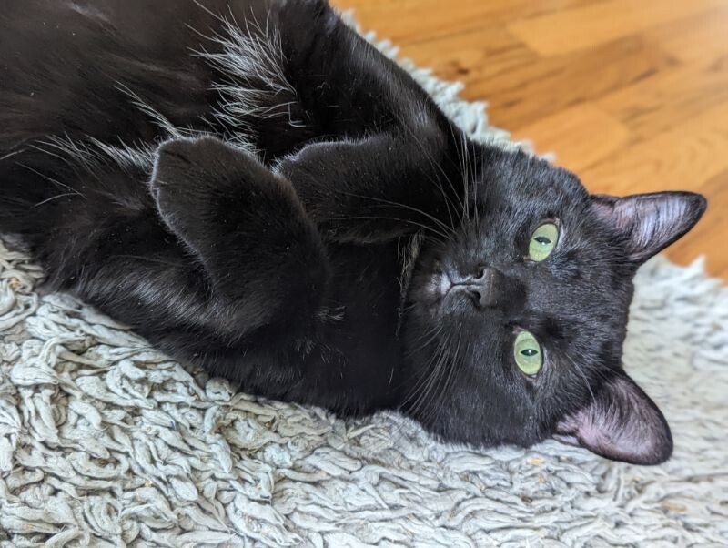 PJ