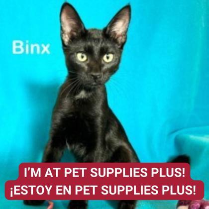 Binx