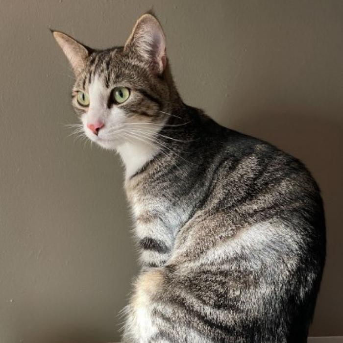 Oscar
