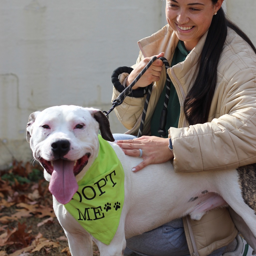 Ace (In Foster)