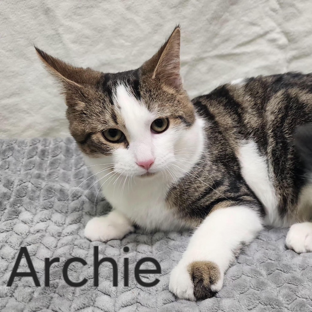 Archie