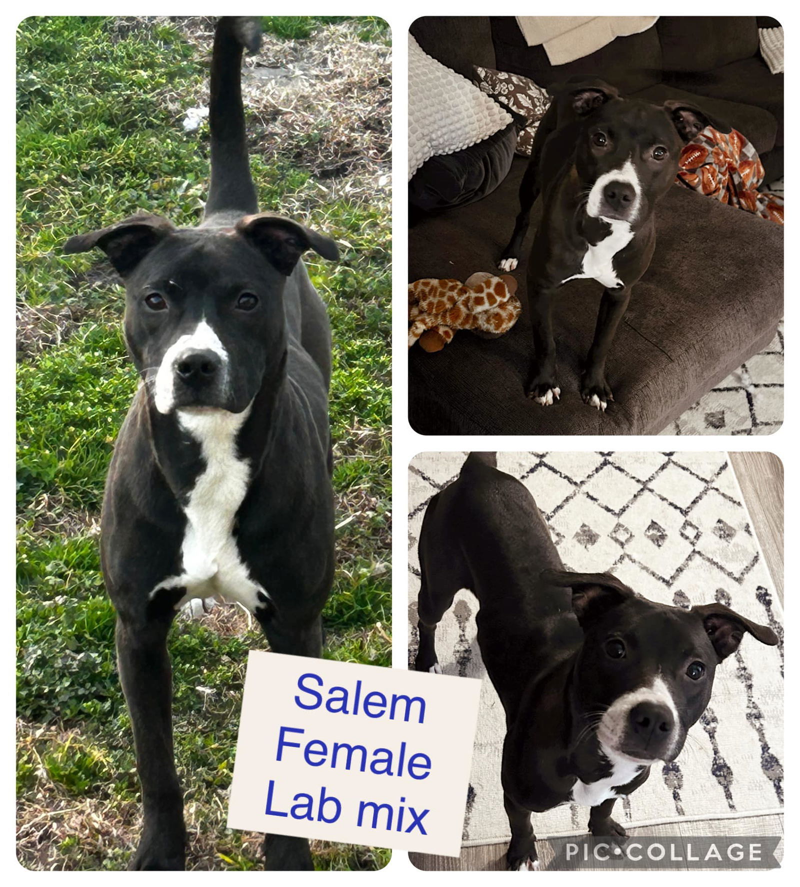 Salem