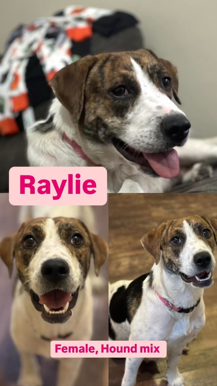 Raylie 1