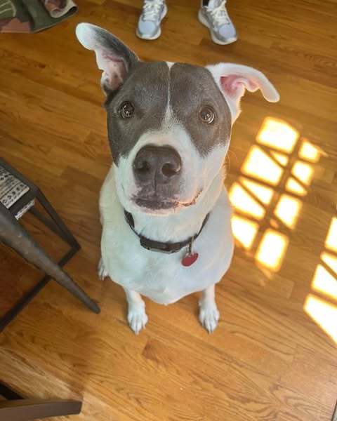 Roux