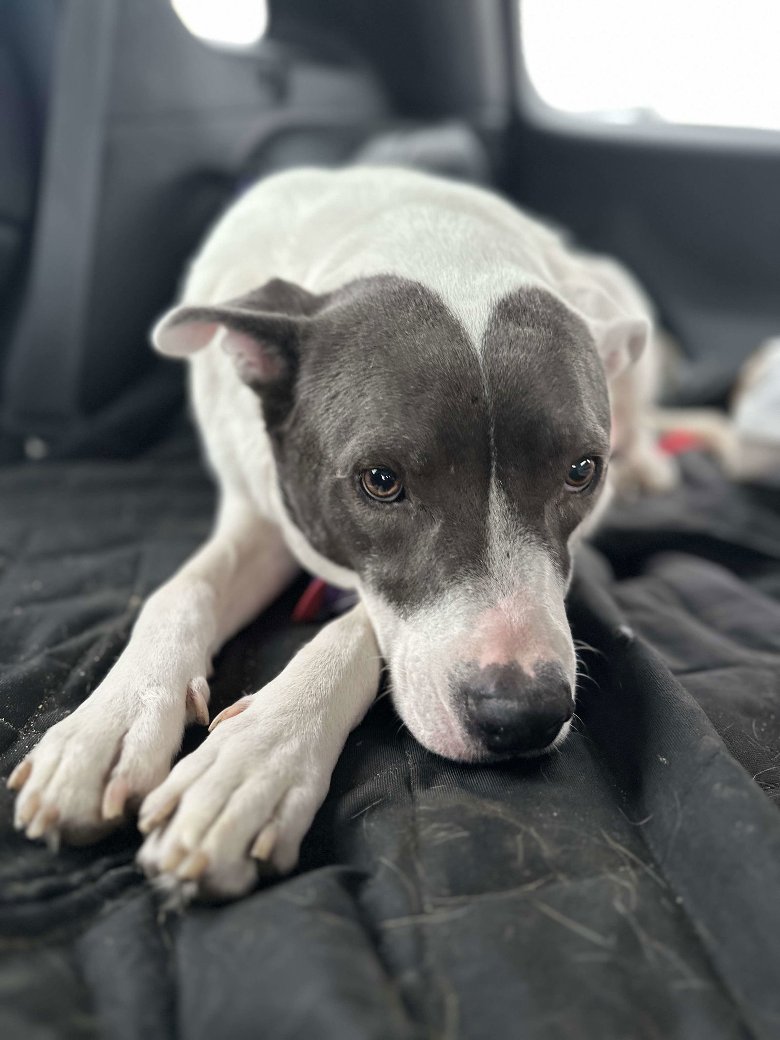 Roux
