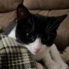 Shiloh photo 1