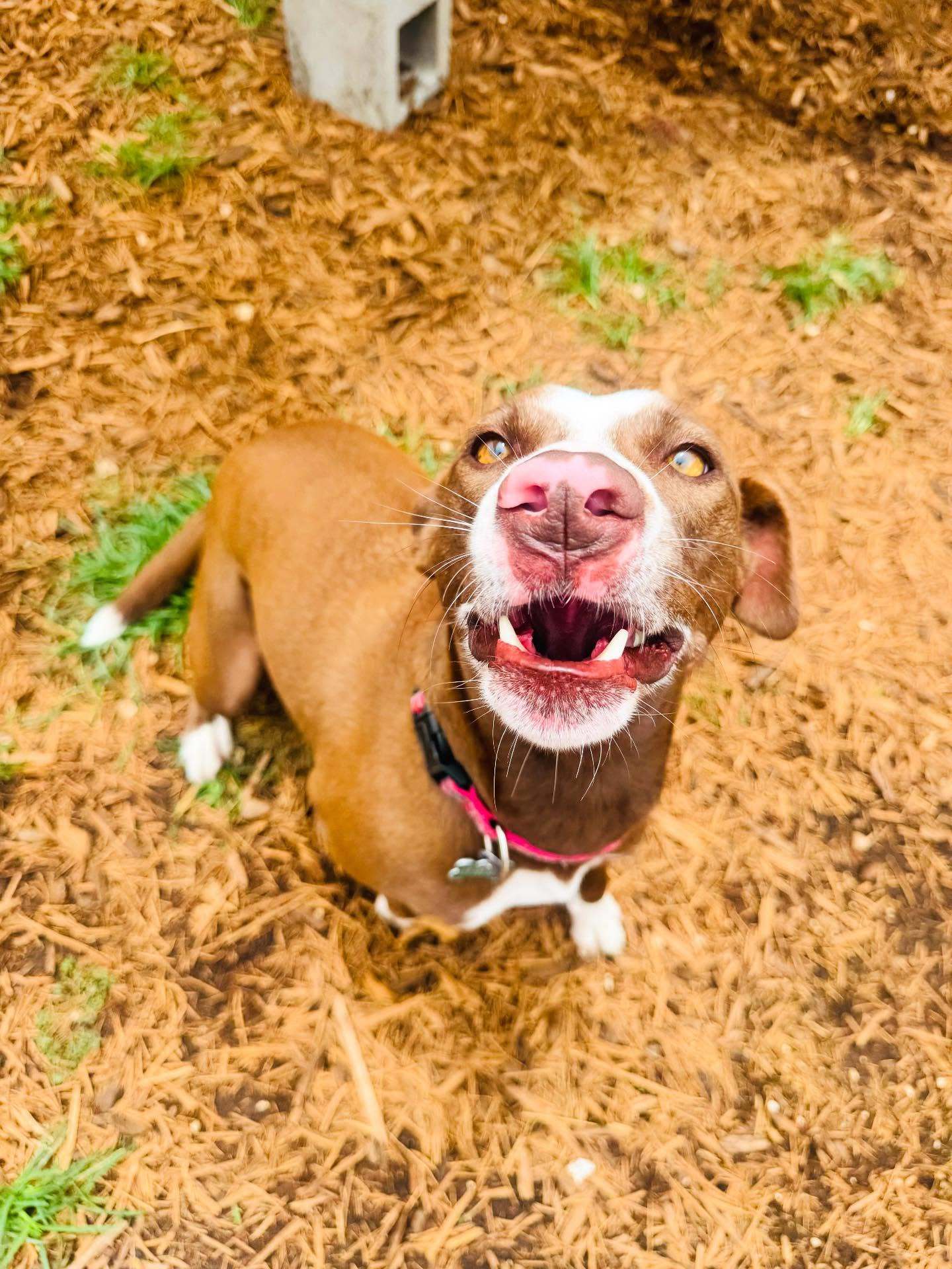 Minnie