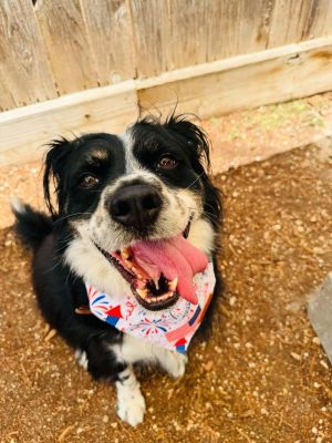 Oh my goodness This guy has turned out to be such a cutie Arlo is a total character who will