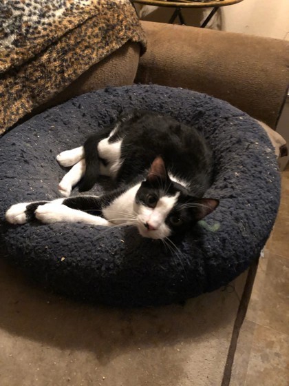 Jericho aka Jerry