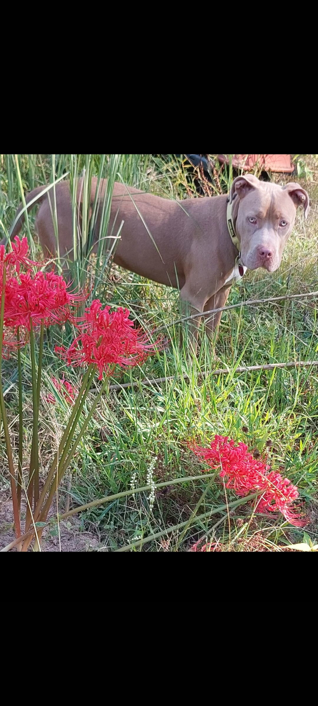 Thelma