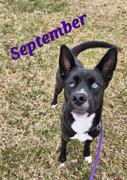 September 1