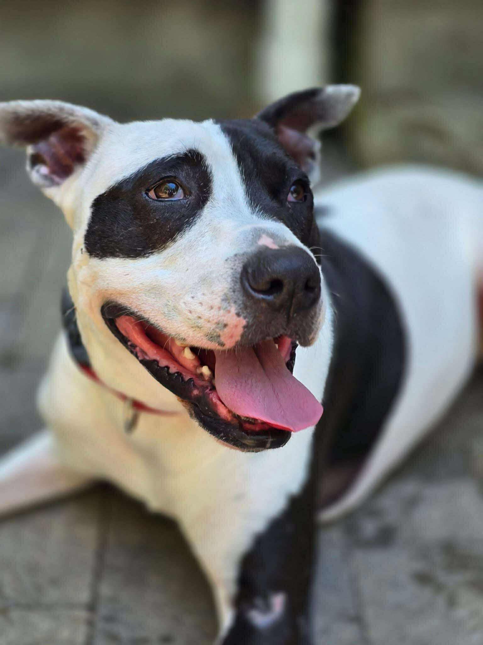 Rory