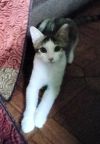 Zeke photo 2