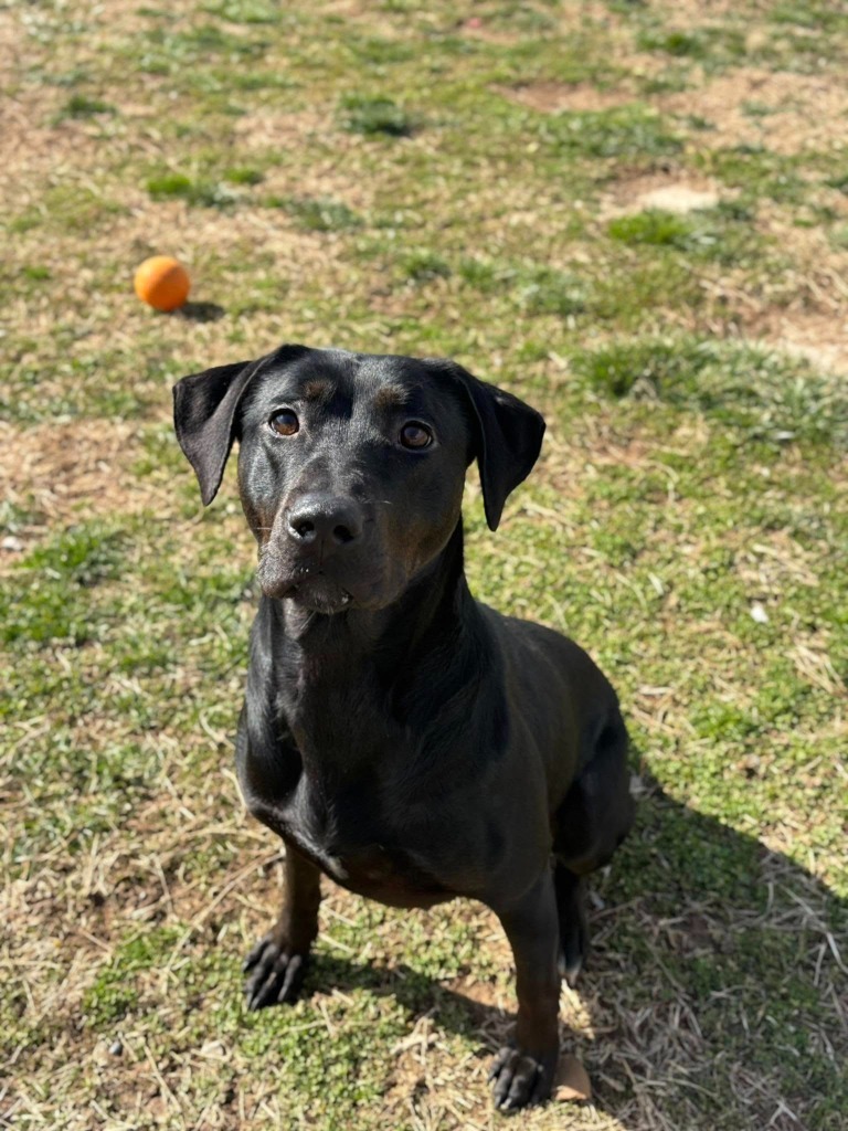 Luna Trigg