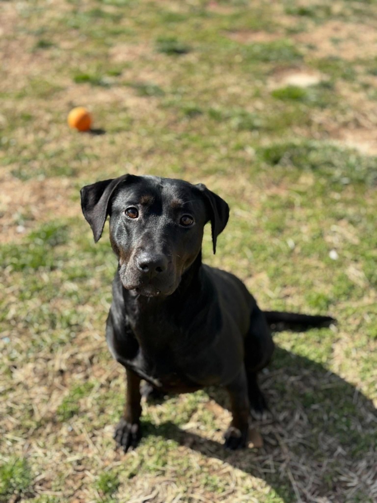 Luna Trigg