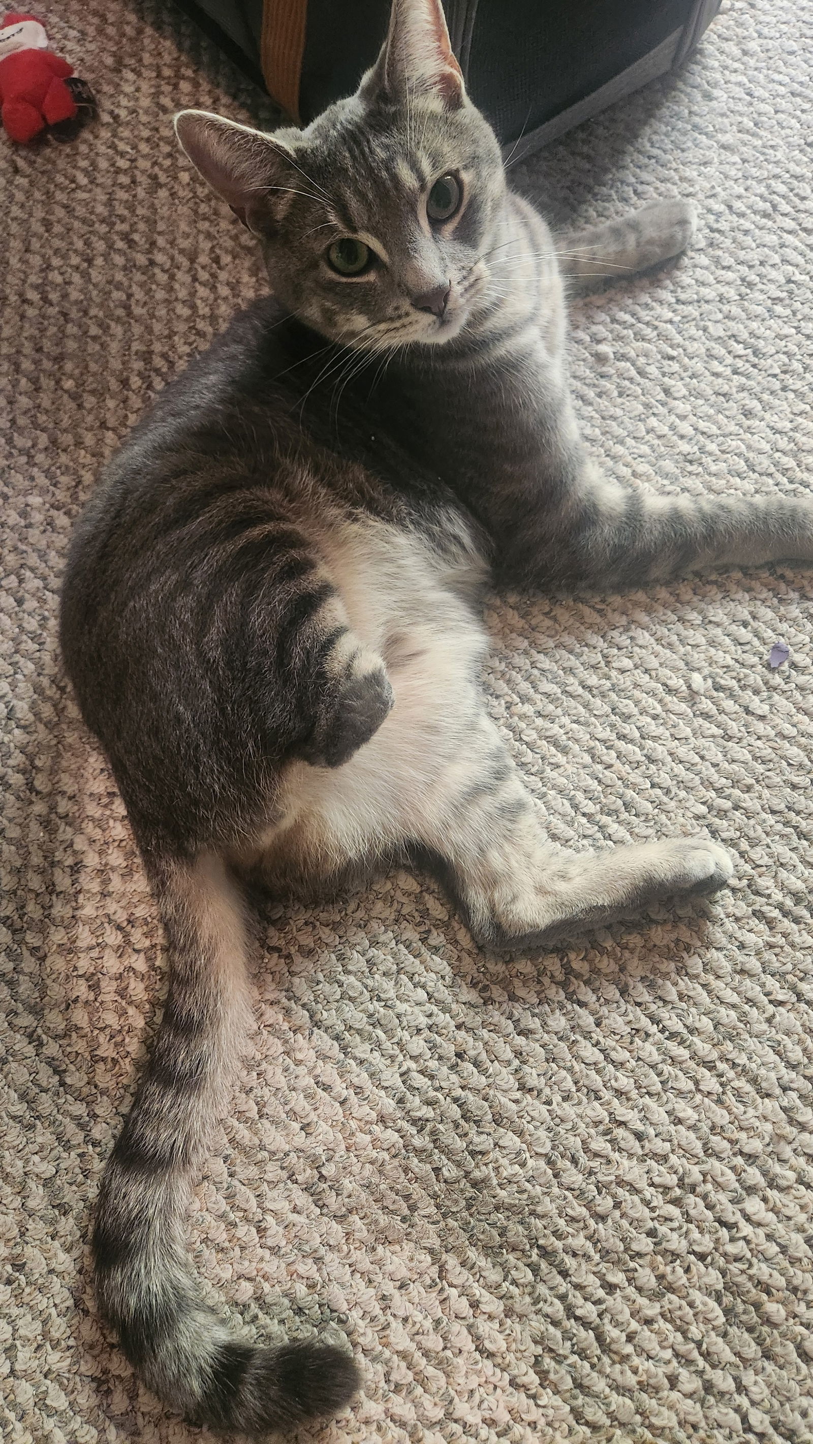 Sir Ken