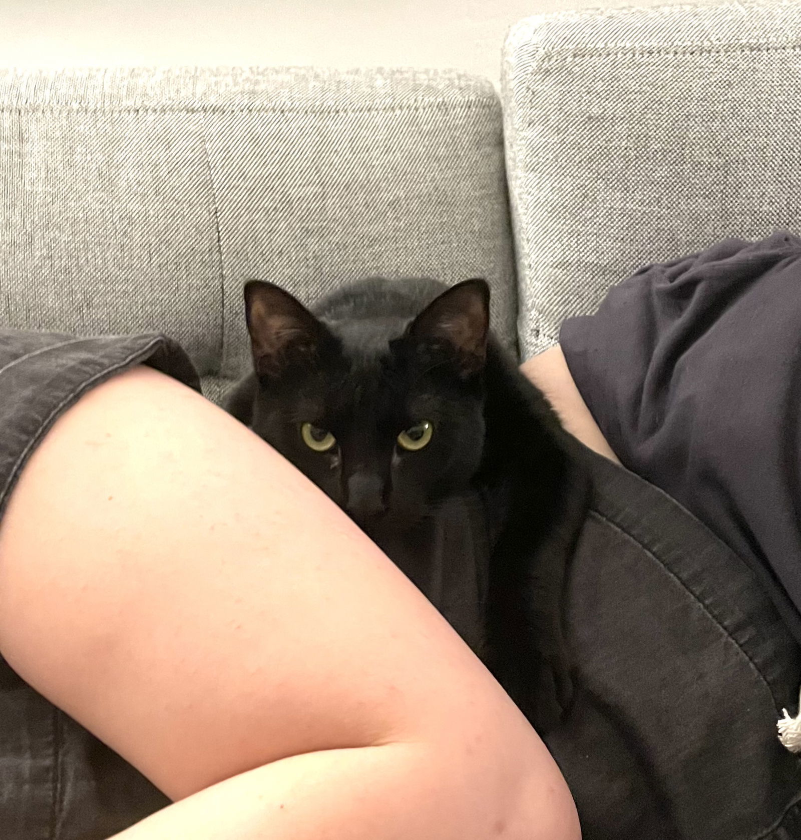 Eloise