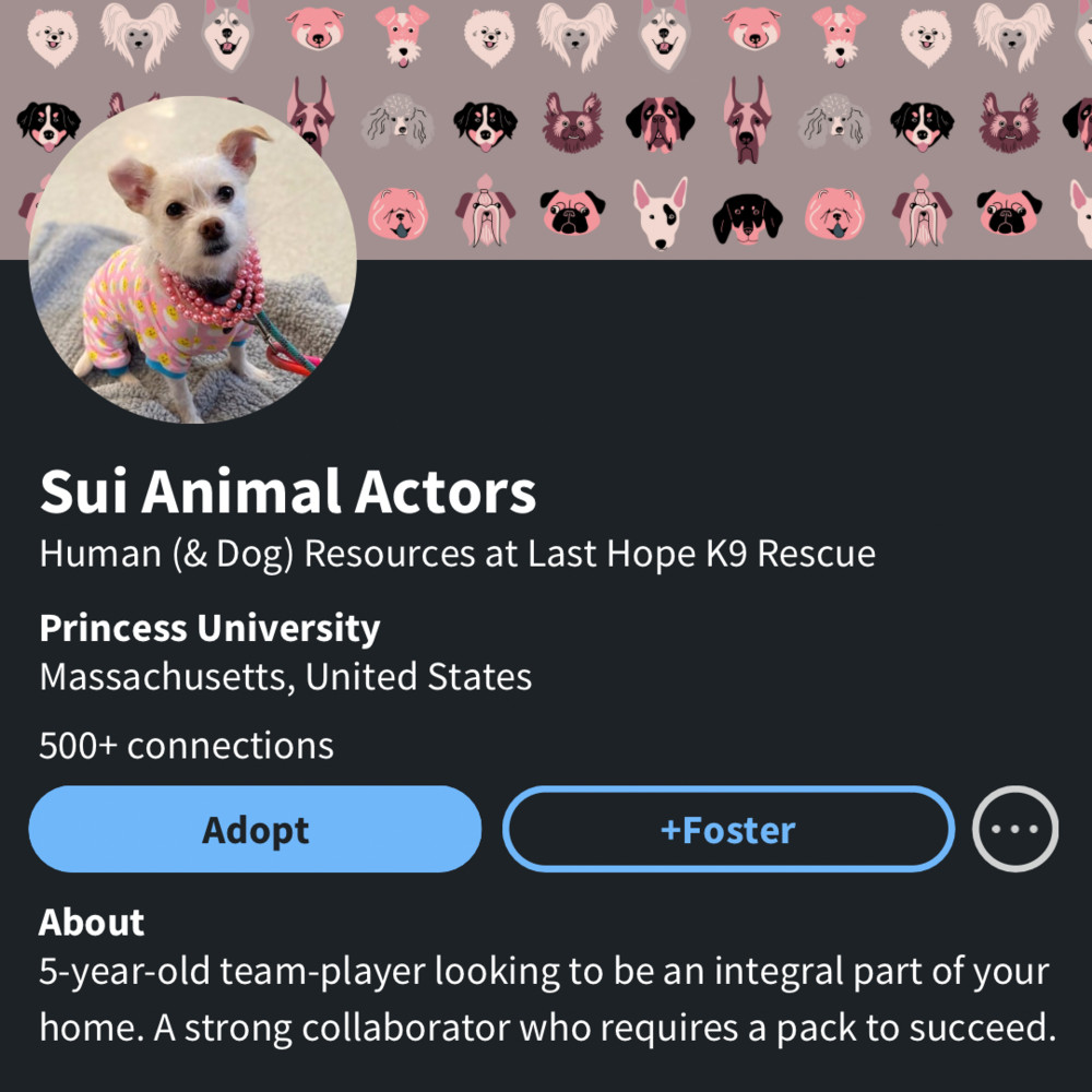 Sui Animal Actors