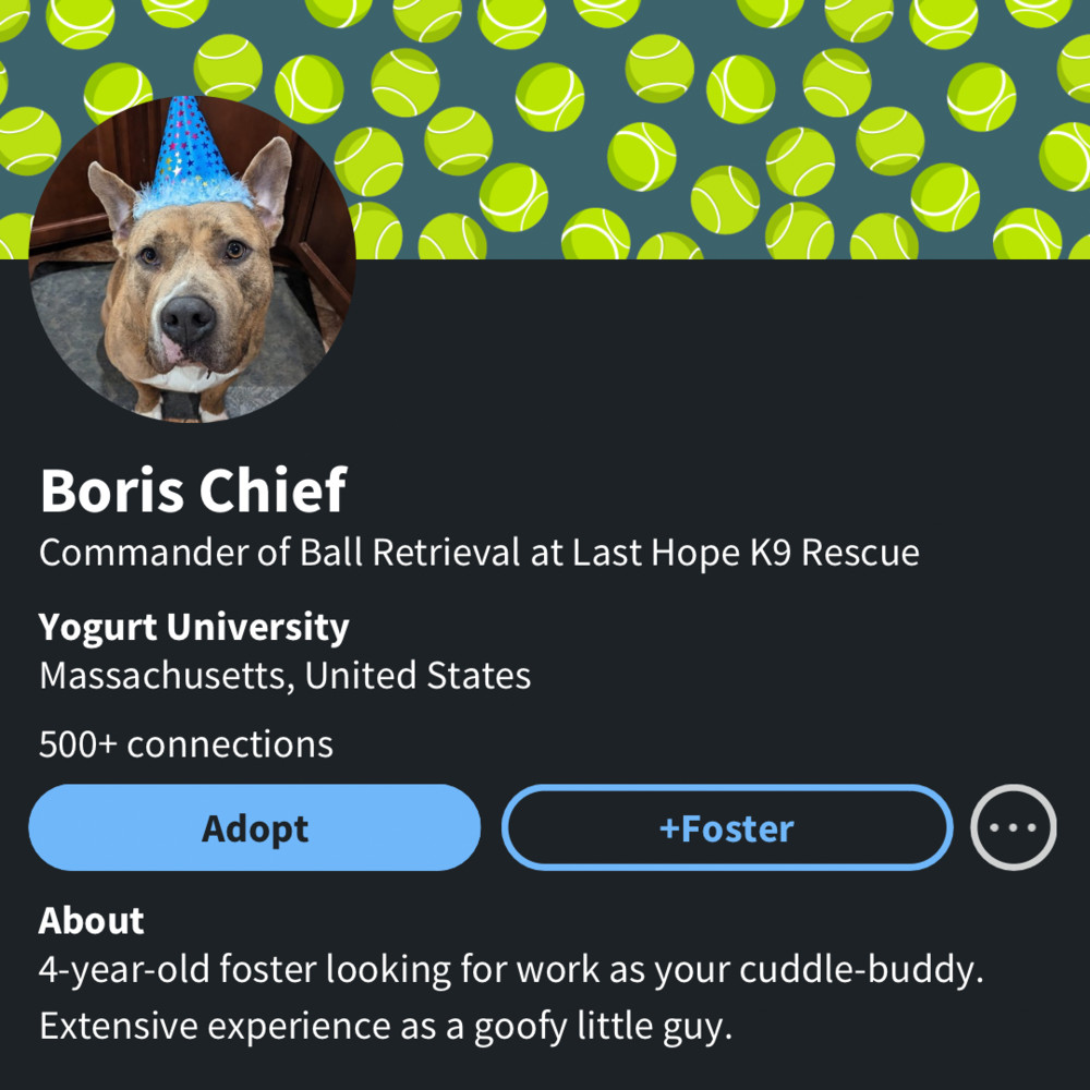 Boris Chief