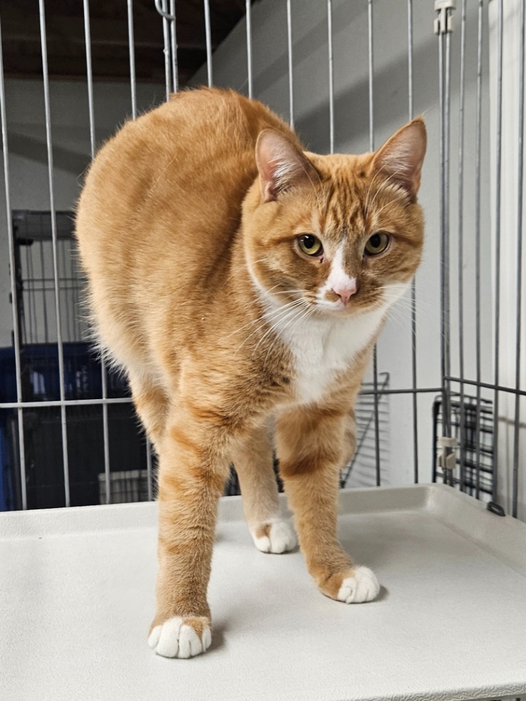 Sam