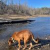 Scrappy Doo photo 3