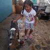 Valentina (CP) - Adopt Me! photo 3