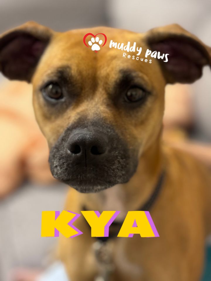 Kya 1