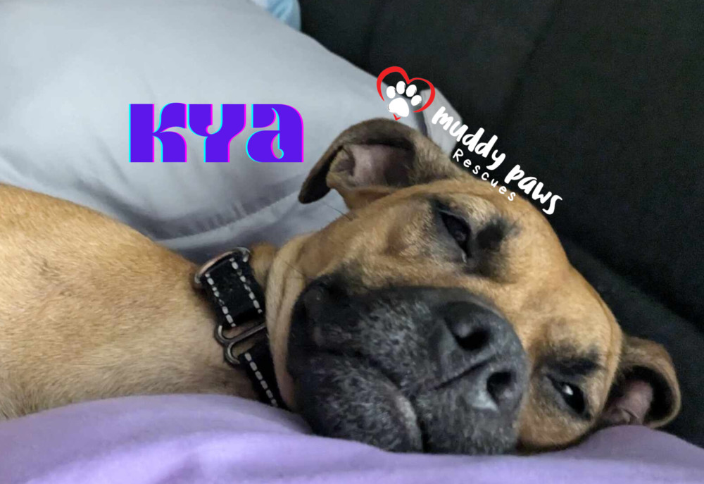 Kya