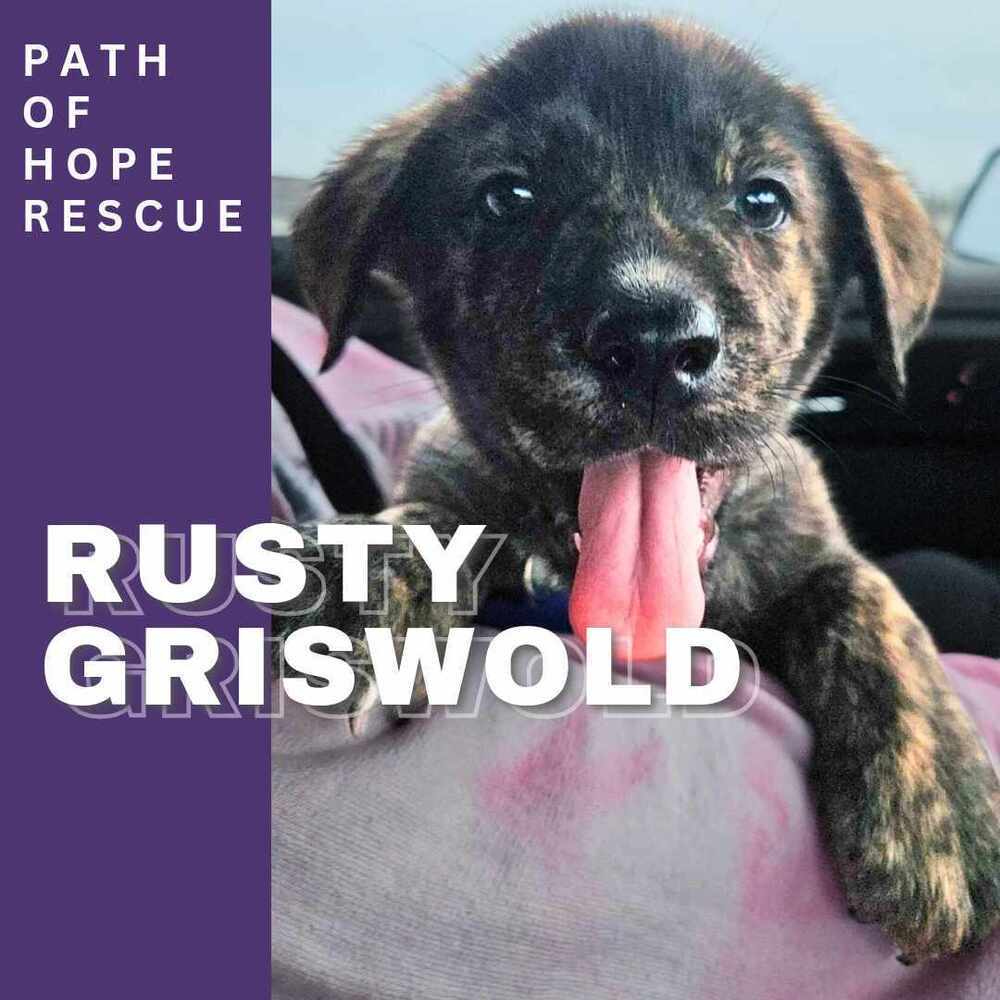 Rusty Griswold