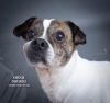 Chuck photo 1