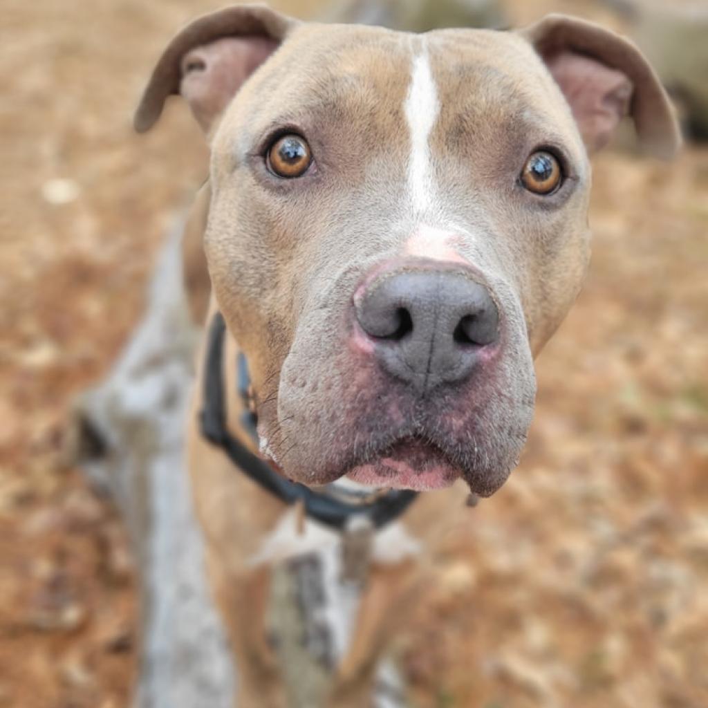 Murphy
