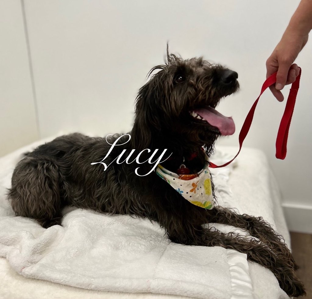 Lucy