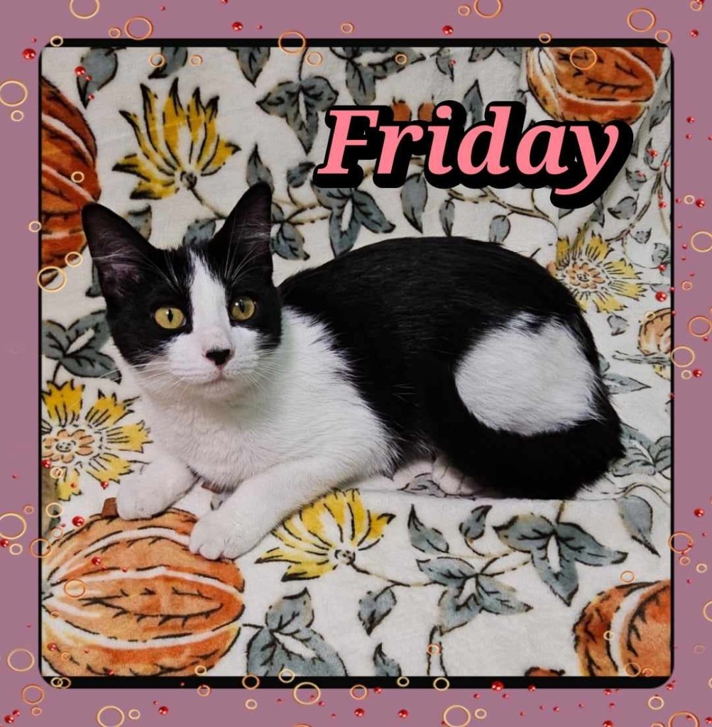 Friday